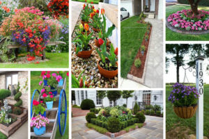 Front Garden and Landscaping Projects