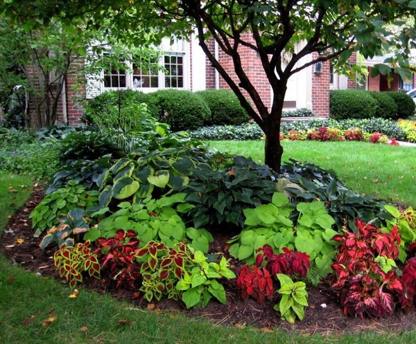 Front Garden and Landscaping Projects