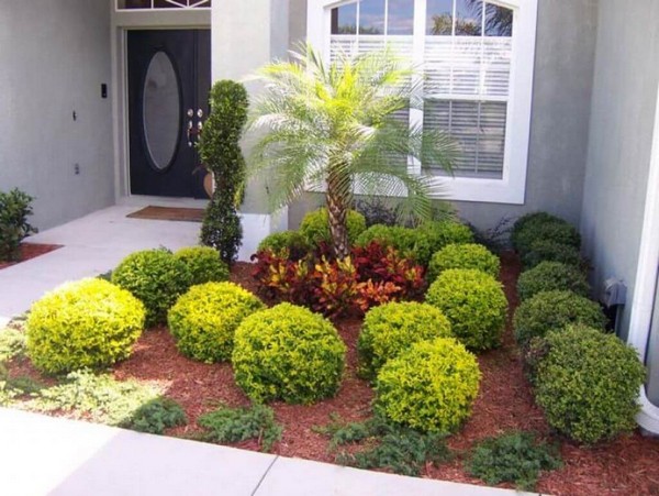 Front Garden and Landscaping Projects