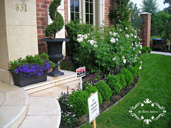 Front Garden and Landscaping Projects