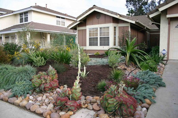 Front Garden and Landscaping Projects