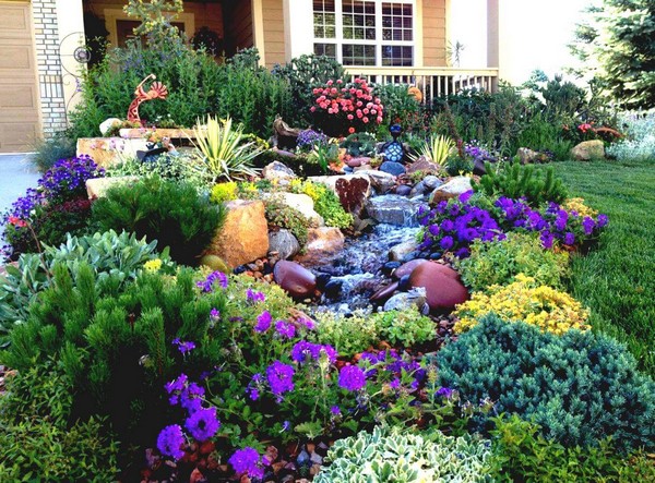 Front Garden and Landscaping Projects